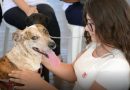 Prefeitura de São Pedro da Aldeia inicia cadastro preliminar para futura castração gratuita de cães e gatos