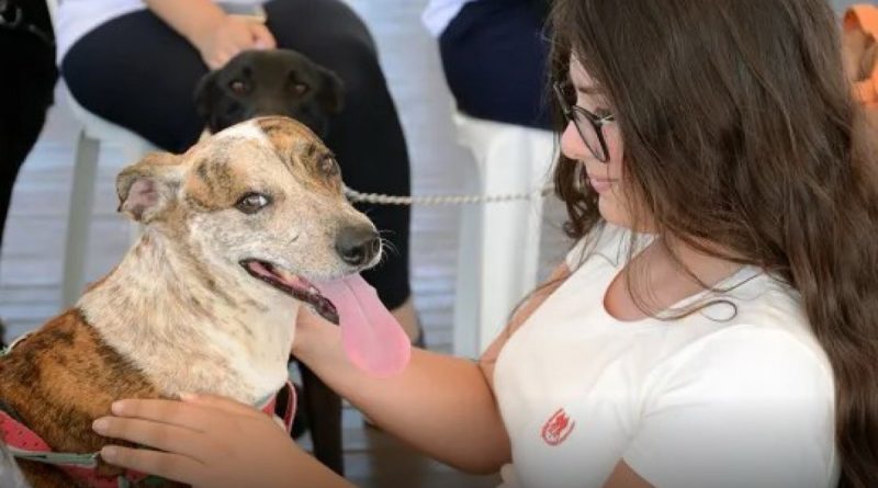 Prefeitura de São Pedro da Aldeia inicia cadastro preliminar para futura castração gratuita de cães e gatos