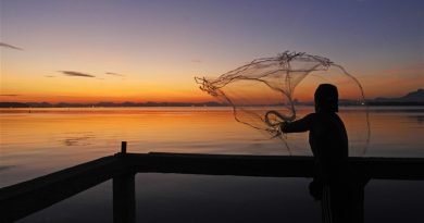 Leis da ALERJ fortalecem direitos dos pescadores e reforçam importância da economia do mar no Rio