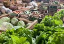 Campos realiza nova etapa do PAA com alimentos adquiridos da agricultura familiar