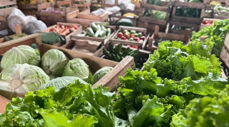 Campos realiza nova etapa do PAA com alimentos adquiridos da agricultura familiar