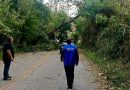 Prefeitura de Pinheiral mantém força-tarefa para atender ocorrências causadas por ventania