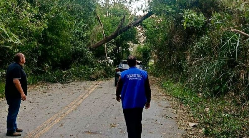 Prefeitura de Pinheiral mantém força-tarefa para atender ocorrências causadas por ventania