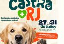 Guapimirim promove mutirão gratuito de castração de cães e gatos
