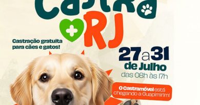 Guapimirim promove mutirão gratuito de castração de cães e gatos