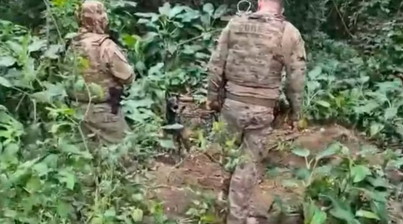 Cabeça é encontrada em possível cemitério clandestino na Zona Sudoeste