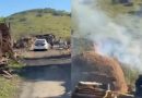 Donos de carvoaria clandestina são presos em Duque de Caxias