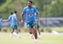 Delegação da Seleção chega ao Rio depois de queda na Copa do Mundo