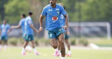 Delegação da Seleção chega ao Rio depois de queda na Copa do Mundo