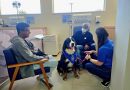 Cães de acolhimento levam bem-estar aos pacientes da rede estadual de saúde
