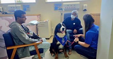 Cães de acolhimento levam bem-estar aos pacientes da rede estadual de saúde