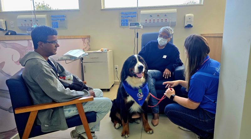 Cães de acolhimento levam bem-estar aos pacientes da rede estadual de saúde