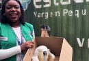 Belford Roxo: Secretaria de Meio Ambiente resgata Garça-Real debilitada e ferida e encaminha para reabilitação na Universidade Estácio na Região Sudoeste
