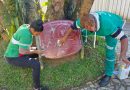 Prefeitura de Petrópolis faz a limpeza das placas turísticas e reforça conservação de monumentos históricos no Centro
