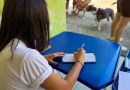 Campanha de vacinação antirrábica começa nesta segunda-feira em Itatiaia