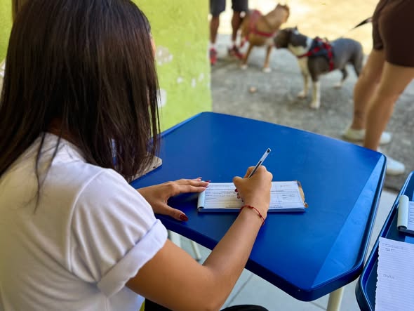 Campanha de vacinação antirrábica começa nesta segunda-feira em Itatiaia