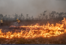 Sala de Situação sobre Incêndios Florestais tem segunda reunião e trata de ações preventivas
