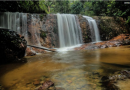 Nove estados, um bioma: descubra a diversidade do turismo na Amazônia brasileira