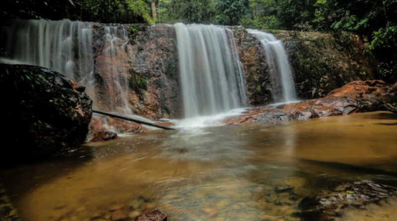 Nove estados, um bioma: descubra a diversidade do turismo na Amazônia brasileira