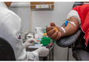 Saúde atualiza procedimentos hemoterápicos e Anvisa orienta período de transição