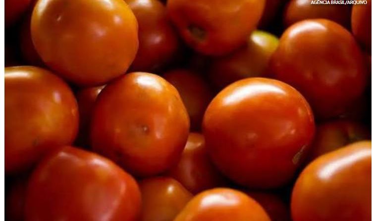 Preço do tomate negociado nas principais Ceasas brasileiras tem queda média de 15,85%