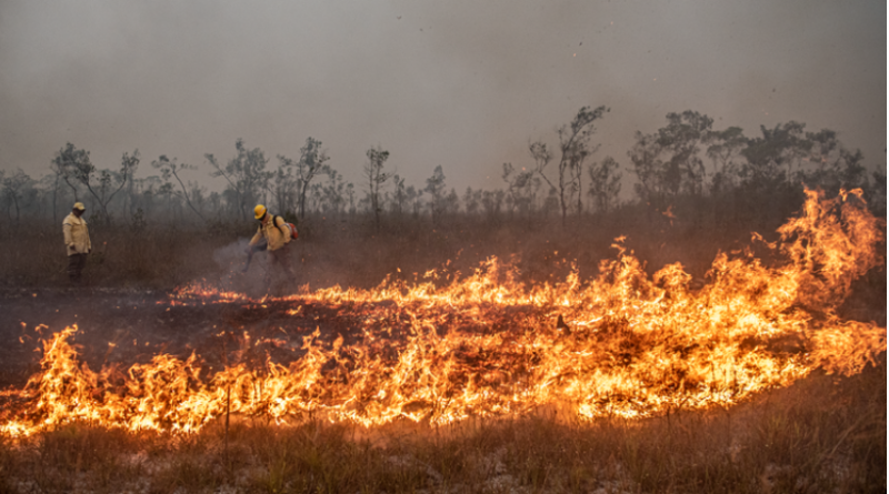 Sala de Situação sobre Incêndios Florestais tem segunda reunião e trata de ações preventivas