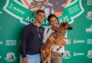 Nilópolis promove campanha de adoção de animais