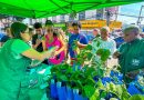 Prefeitura de Meriti realiza Blitz Ambiental e distribui mudas nativas em Vilar dos Teles