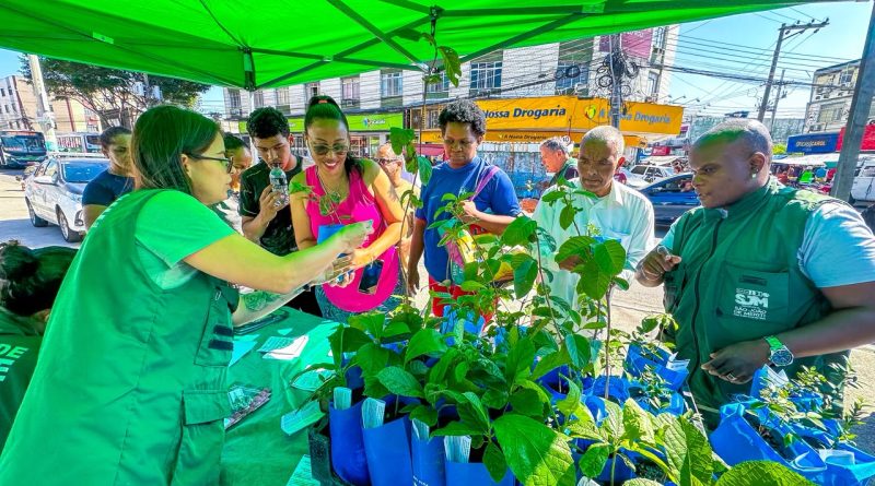 Prefeitura de Meriti realiza Blitz Ambiental e distribui mudas nativas em Vilar dos Teles
