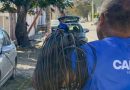 Operação Limpa Fios fecha o semestre com atuação em seis bairros de Cabo Frio