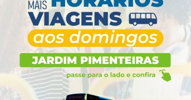 Teresópolis: Domingão Tarifa Zero ganha reforço na linha Jardim  Pimenteiras com novos horários  