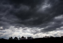 Tempestades causam danos em 21 cidades do RS e 125 municípios têm registro de falta de luz; previsão indica vento de até 100km/h