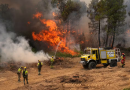 Incêndios florestais forçam saída de 330 mil pessoas na França e Espanha