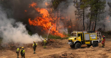 Incêndios florestais forçam saída de 330 mil pessoas na França e Espanha