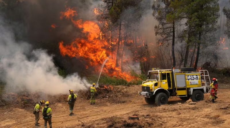 Incêndios florestais forçam saída de 330 mil pessoas na França e Espanha