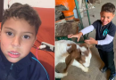 Amber Alert: serviço nacional pede auxílio de internautas para encontrar criança autista desaparecida no Paraná