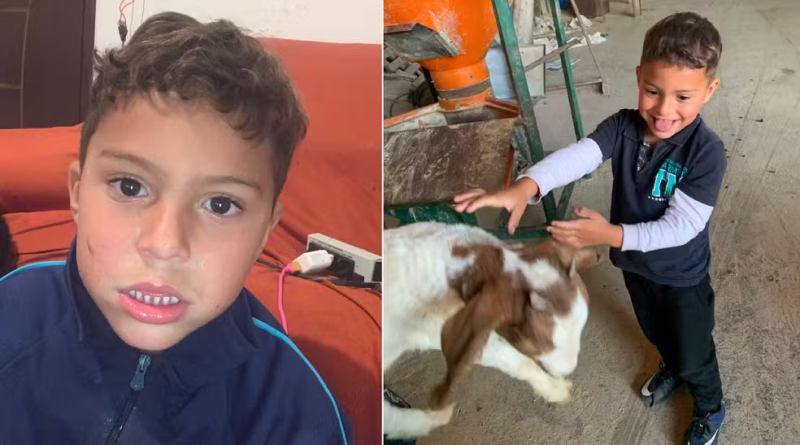 Amber Alert: serviço nacional pede auxílio de internautas para encontrar criança autista desaparecida no Paraná