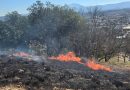 Brigada Florestal Voluntária realiza ações preventivas para evitar incêndios florestais em Nova Iguaçu
