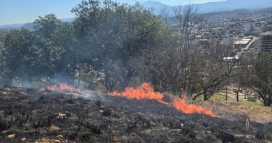 Brigada Florestal Voluntária realiza ações preventivas para evitar incêndios florestais em Nova Iguaçu