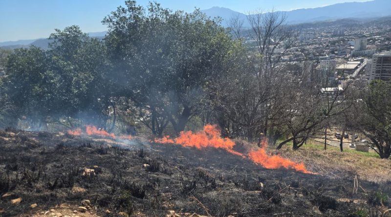 Brigada Florestal Voluntária realiza ações preventivas para evitar incêndios florestais em Nova Iguaçu