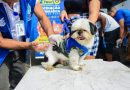 Belford Roxo: Ação no Parque Esperança leva vacinação antirrábica, combate a roedores e ao mosquito Aedes aegypti e serviços de zoonoses neste sábado