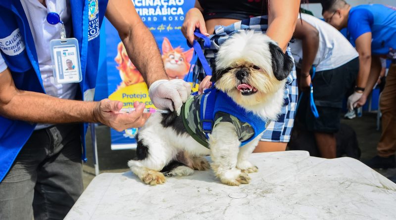 Belford Roxo: Ação no Parque Esperança leva vacinação antirrábica, combate a roedores e ao mosquito Aedes aegypti e serviços de zoonoses neste sábado