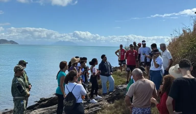 Prefeitura de Búzios promove ação de recuperação ambiental e educação ambiental na Ilha do Caboclo