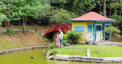 Petrópolis: Opção de lazer nas férias, Parque Cremerie já recebeu mais de 74 mil visitantes em 2026