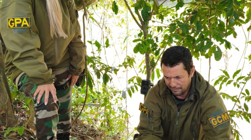 Prefeitura de Três Rios inicia monitoramento da fauna com armadilhas fotográficas em áreas de preservação