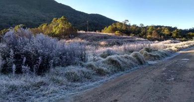 Parque Nacional do Itatiaia registra -5,1°C e volta a marcar uma das menores temperaturas do Brasil