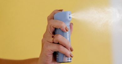 ALERJ avança com medidas para reforçar a segurança das mulheres no Estado do Rio