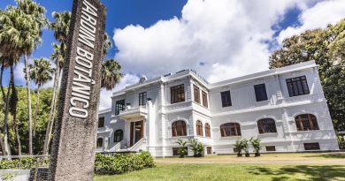 Museu do Jardim Botânico transforma férias escolares em imersão pela biodiversidade brasileira