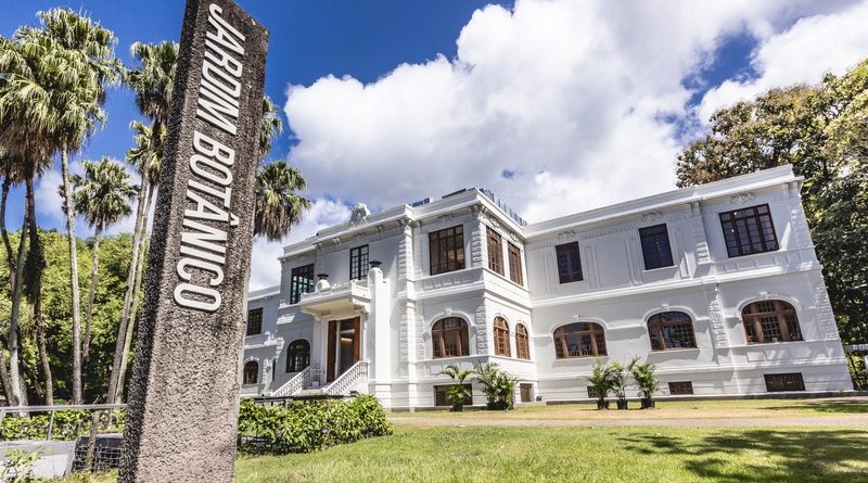 Museu do Jardim Botânico transforma férias escolares em imersão pela biodiversidade brasileira