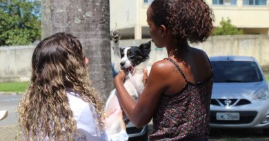Ação de castração também oferecerá atendimento veterinário e orientações gratuitas em Itatiaia